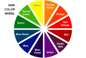 Hair Color Wheel